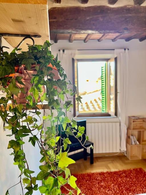 Apartamento - A Pochi Passi Da Piazza Del Campo *